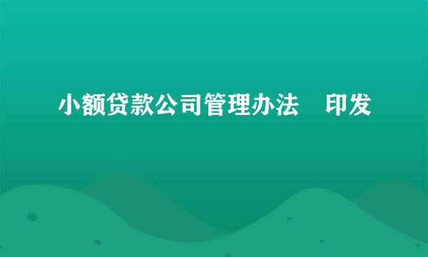 小额贷款公司管理办法 印发