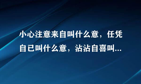 小心注意来自叫什么意，任凭自已叫什么意，沾沾自喜叫什么意，任意忘为叫什么意，心情爽快叫什么意，心术不正