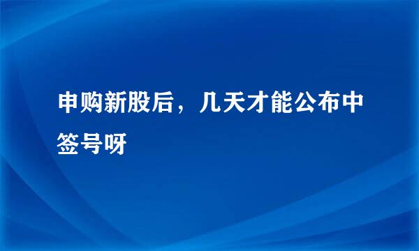 申购新股后，几天才能公布中签号呀