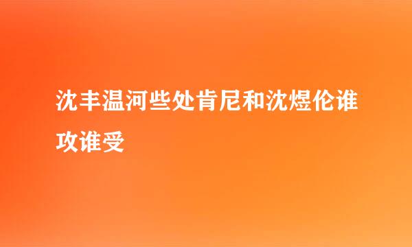 沈丰温河些处肯尼和沈煜伦谁攻谁受