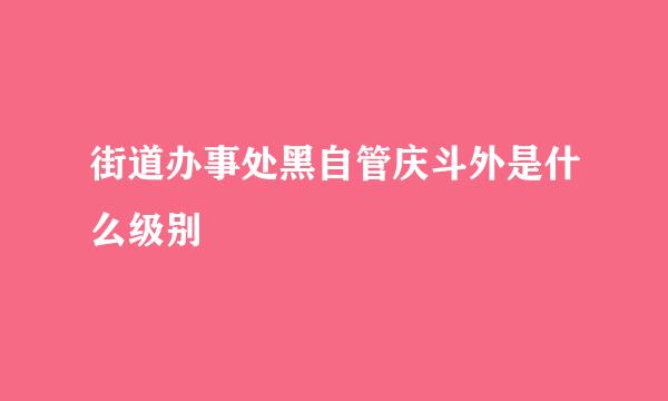 街道办事处黑自管庆斗外是什么级别