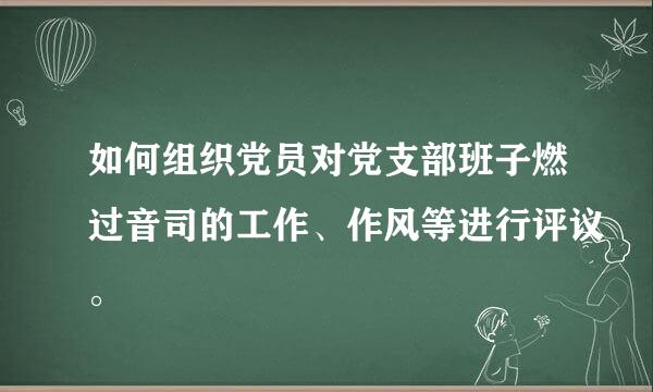 如何组织党员对党支部班子燃过音司的工作、作风等进行评议。