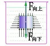 浮力的计算公式