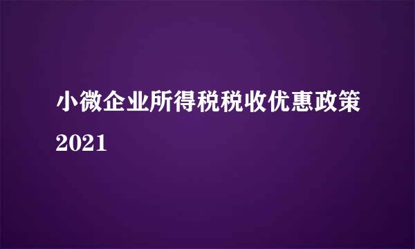 小微企业所得税税收优惠政策2021