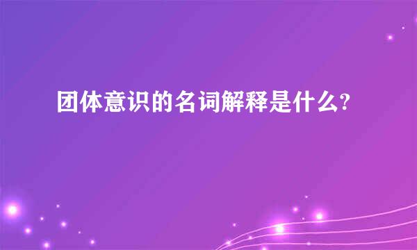 团体意识的名词解释是什么?