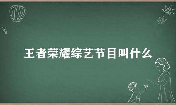 王者荣耀综艺节目叫什么