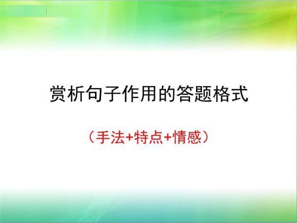 赏析句子的答题格政协艺简说站林乱式是什么？