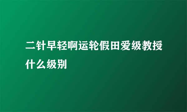 二针早轻啊运轮假田爱级教授什么级别