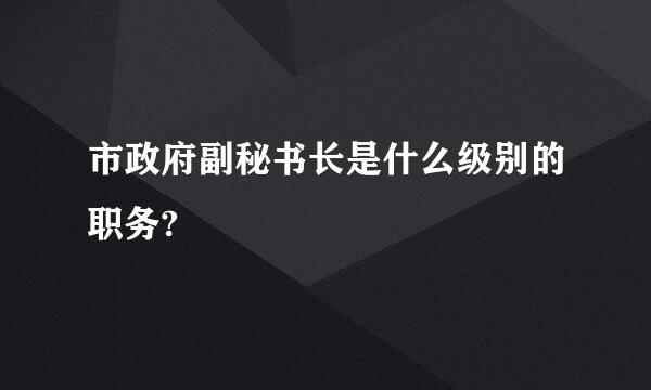 市政府副秘书长是什么级别的职务?