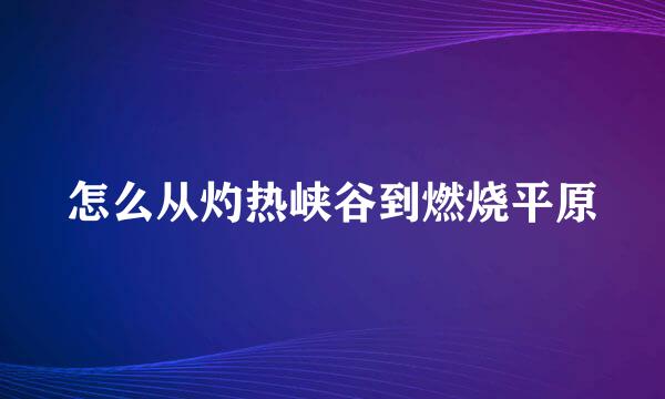 怎么从灼热峡谷到燃烧平原