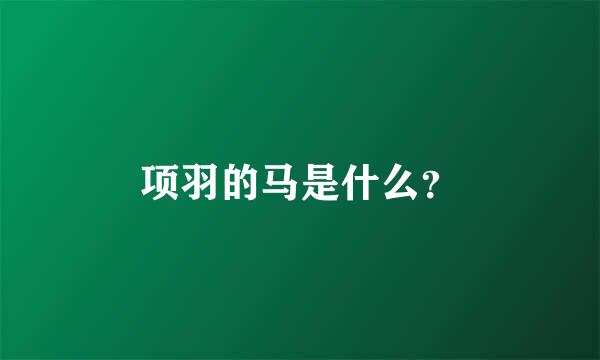 项羽的马是什么？