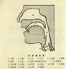 什么叫清辅音？什么浊辅音？有什么区别?