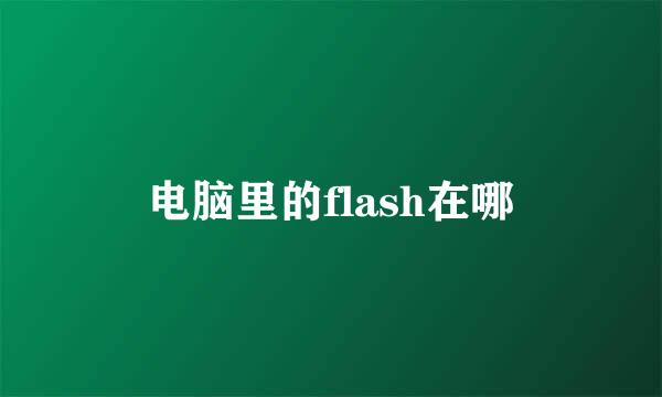 电脑里的flash在哪