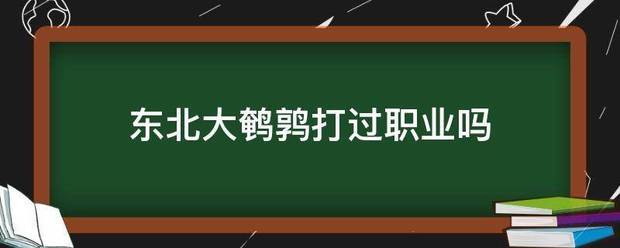 东来自北大鹌鹑打过职业吗