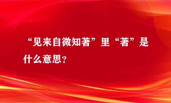 “见来自微知著”里“著”是什么意思？