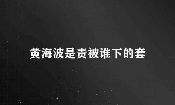 黄海波是责被谁下的套