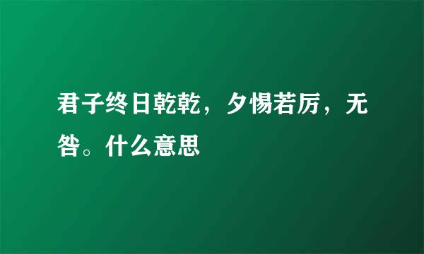 君子终日乾乾，夕惕若厉，无咎。什么意思