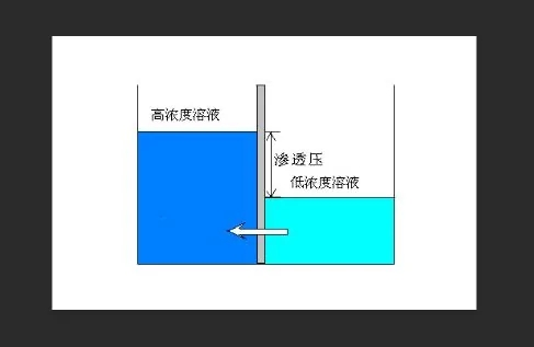 渗透压的概念