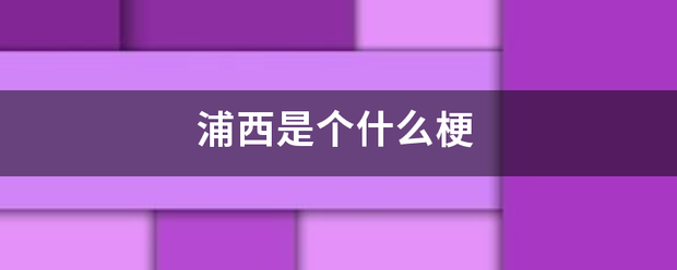 浦西是个什么梗