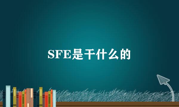 SFE是干什么的