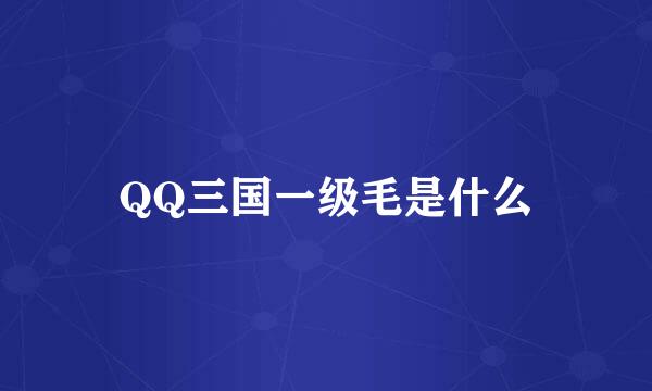 QQ三国一级毛是什么