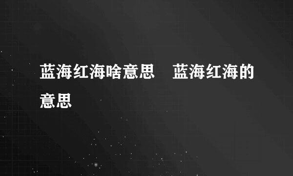 蓝海红海啥意思 蓝海红海的意思