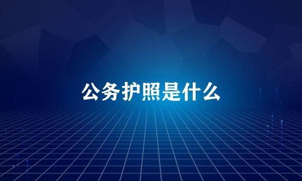 公务护照是什么