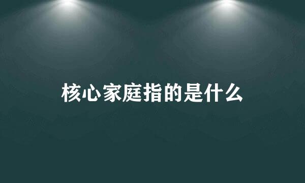 核心家庭指的是什么