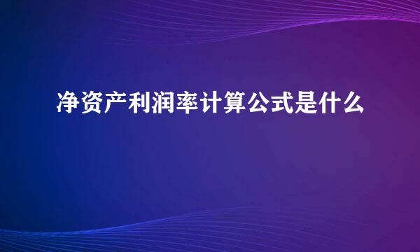 净资产利润率计算公式是什么