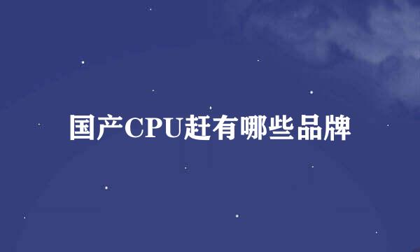 国产CPU赶有哪些品牌