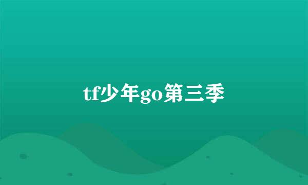 tf少年go第三季