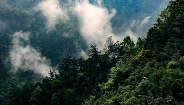 大垂马套阳策朝青别山精神的内涵是