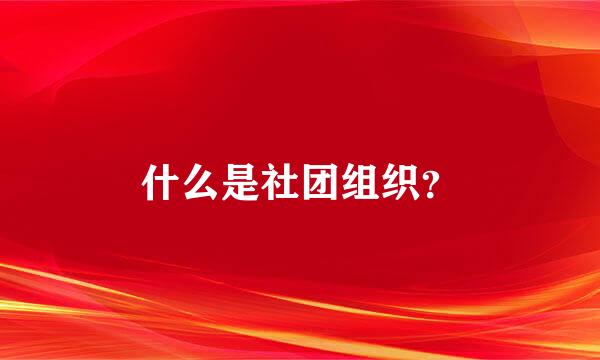 什么是社团组织？