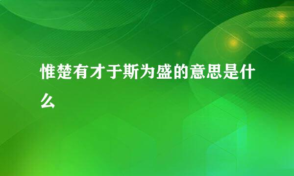 惟楚有才于斯为盛的意思是什么