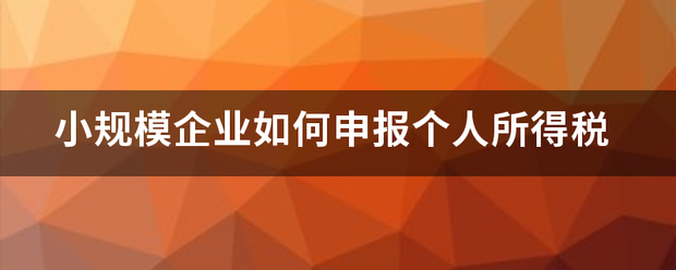 小规模企业如何申报个人所得来自税