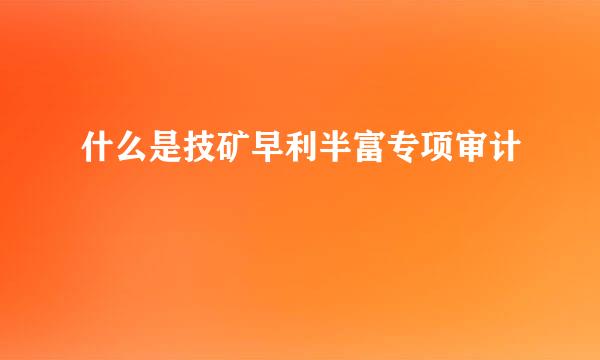 什么是技矿早利半富专项审计