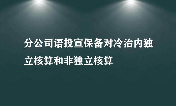 分公司语投宣保备对冷治内独立核算和非独立核算