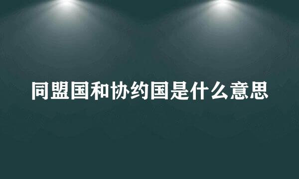 同盟国和协约国是什么意思