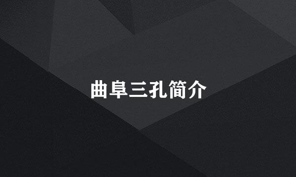 曲阜三孔简介