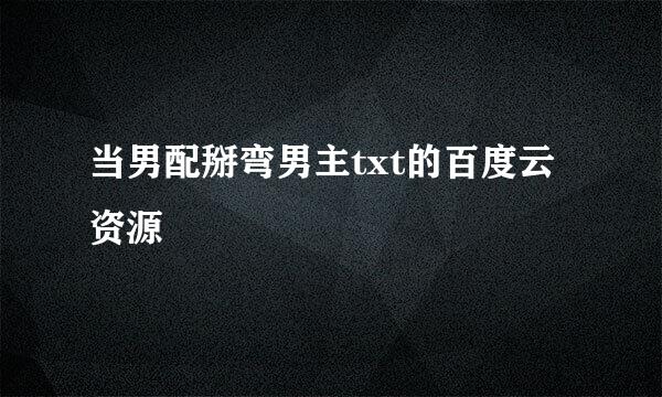 当男配掰弯男主txt的百度云资源