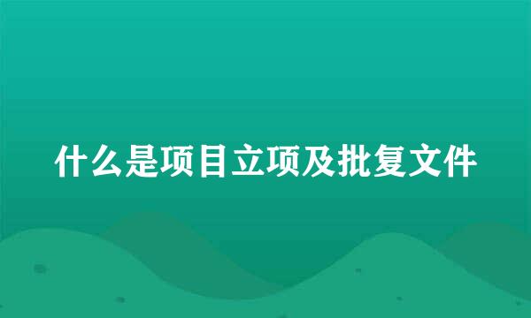 什么是项目立项及批复文件