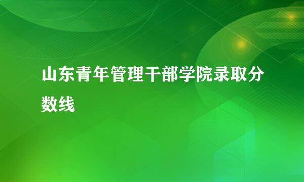 山东青年管理干部学院录取分数线