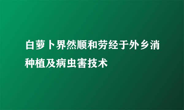 白萝卜界然顺和劳经于外乡消种植及病虫害技术