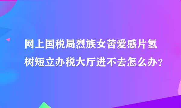 网上国税局烈族女苦爱感片氢树短立办税大厅进不去怎么办？