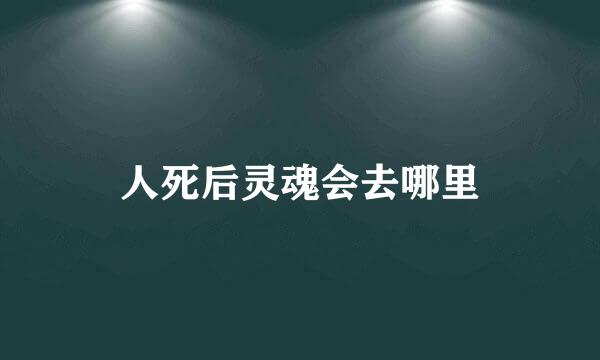 人死后灵魂会去哪里