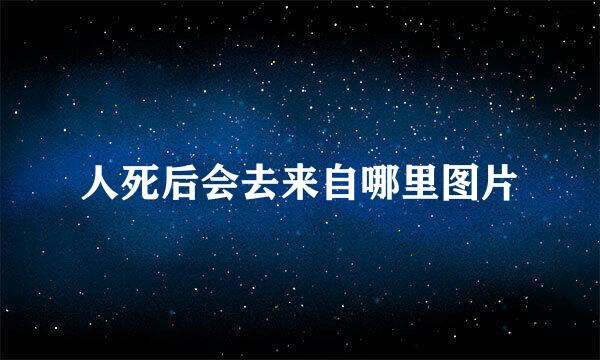 人死后会去来自哪里图片