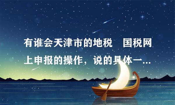 有谁会天津市的地税 国税网上申报的操作，说的具体一候较什评点，还有申报的时间限制等等。