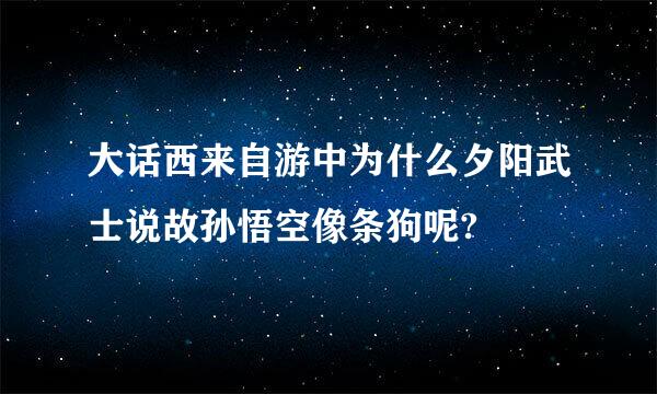 大话西来自游中为什么夕阳武士说故孙悟空像条狗呢?