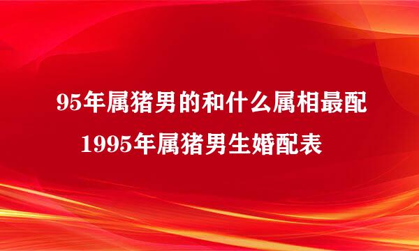 95年属猪男的和什么属相最配 1995年属猪男生婚配表