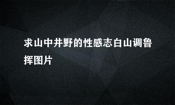 求山中井野的性感志白山调鲁挥图片